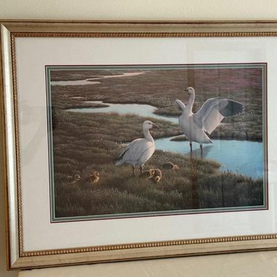 Sale Photo Thumbnail #61: Framed and Double Matted