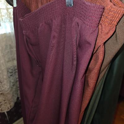 Ladies pants