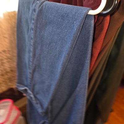Ladies pants