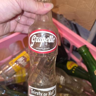 Vintage soda bottle collection