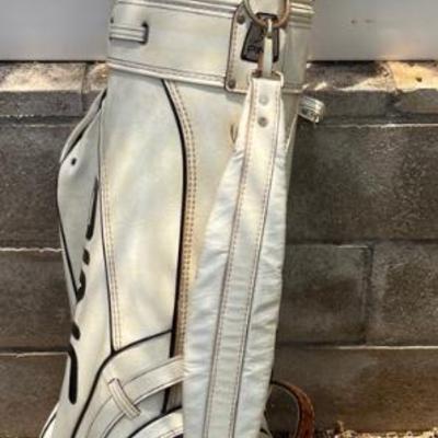 KSG045 PING Golf Bag + Clubs (Head Driver, Wilson Dynapower Irons, Golfsmith Putter) 