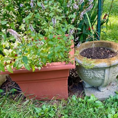 Sale Photo Thumbnail #473: Planter contains a mint plant.