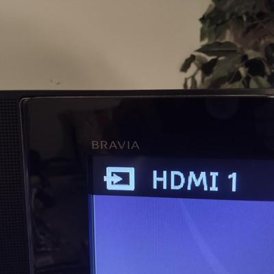 Sony Bravia Television with Remote Control