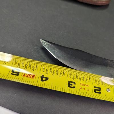 Sale Photo Thumbnail #629: Official Boy Scouts Of America Fixed Blade Knife Western Boulder, Colo #12