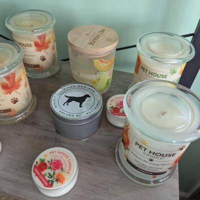 Array Of Pet House Candles #8 (Most Of Them Have Not Been Used) (FR)