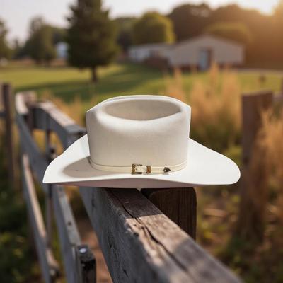 NEW 20x Beaver Felt Resistol Cowboy Hat