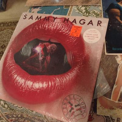 Collection of Vinyl Records- Includes Eagles, Johnny Cash, Sammy Hagar, Doris Day, Roy Orbison