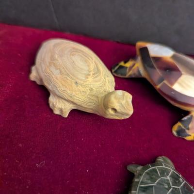Collection Of Various Turtles #82