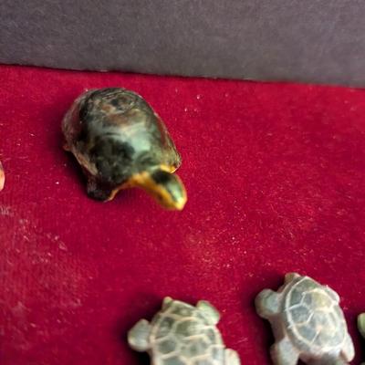 Collection Of Various Turtles #82