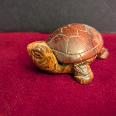 Collection Of Various Turtles #82
