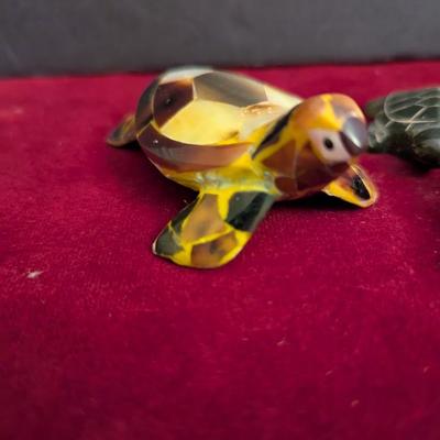 Collection Of Various Turtles #82