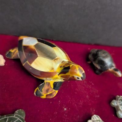 Collection Of Various Turtles #82