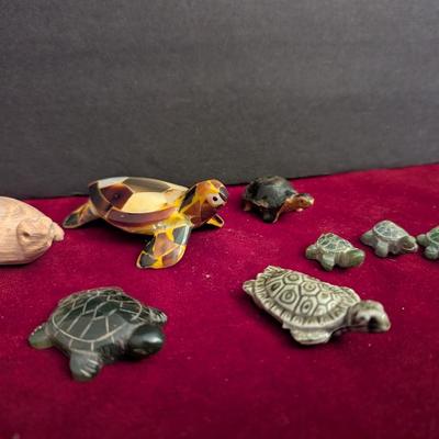 Collection Of Various Turtles #82