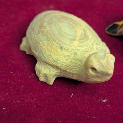 Collection Of Various Turtles #82
