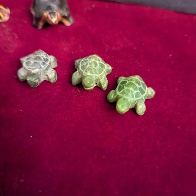 Collection Of Various Turtles #82