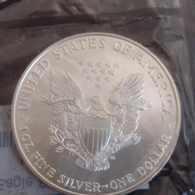 2007 US Mint $1 Silver Eagle Coin Uncirculated (#55)