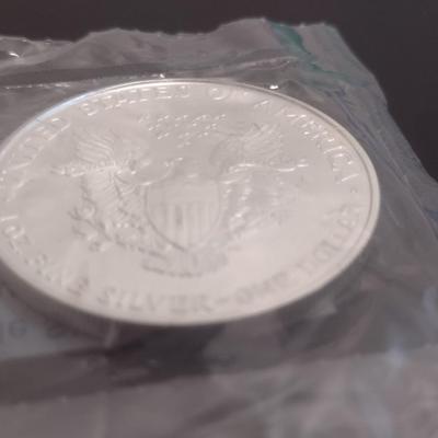 2007 US Mint $1 Silver Eagle Coin Uncirculated (#55)