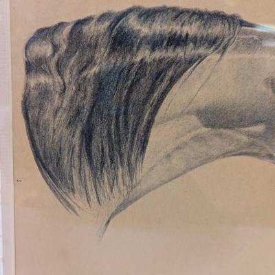 Vintage Framed Horse Drawing "Tucson" 1991 Signed Heidi A. Larson
