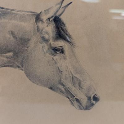 Vintage Framed Horse Drawing "Tucson" 1991 Signed Heidi A. Larson