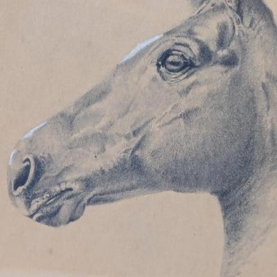 Vintage Framed Horse Drawing "Innamorata" 1991 Signed Heidi A. Larson