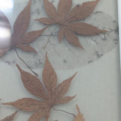 Pressed Fern & Leaves Wall Decor (Heavy)