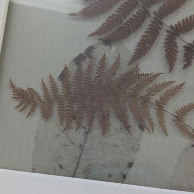 Pressed Fern & Leaves Wall Decor (Heavy)