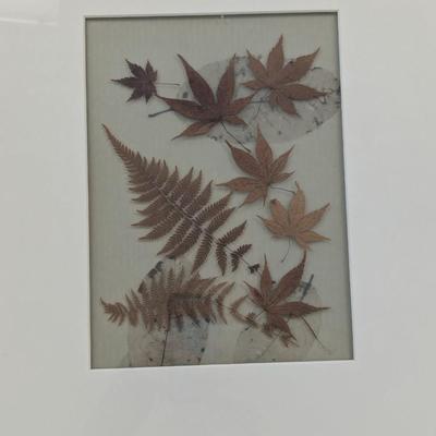 Pressed Fern & Leaves Wall Decor (Heavy)