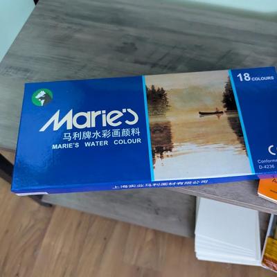Arts & Craft Painting Supplies (FR)