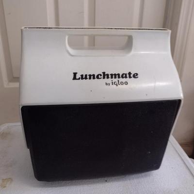 Collection of Coolers and Insulated Bags- Coleman, Igloo, and Rubbermaid