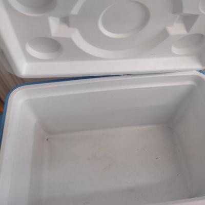 Collection of Coolers and Insulated Bags- Coleman, Igloo, and Rubbermaid