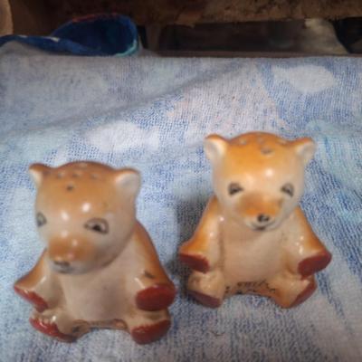 bear salt and pepper shakers