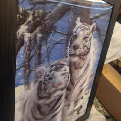 Holographic picture of Snow tigers