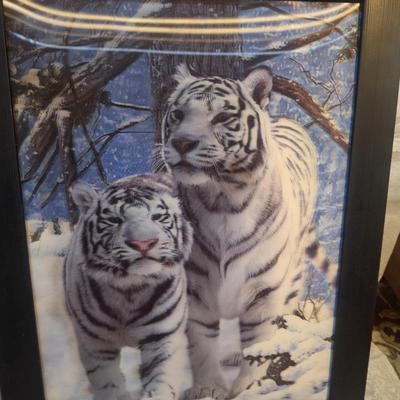 Holographic picture of Snow tigers