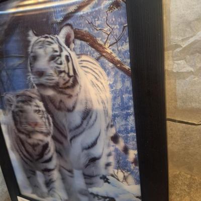 Holographic picture of Snow tigers