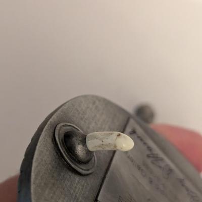 Farmers co-op belt buckle
