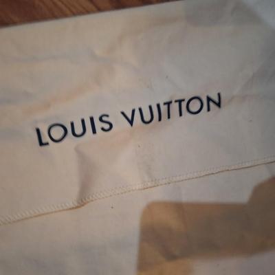 Louis Vuitton dust cover bag