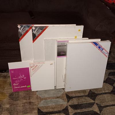 VARIOUS SIZES OF ARTIST CANVAS (1)