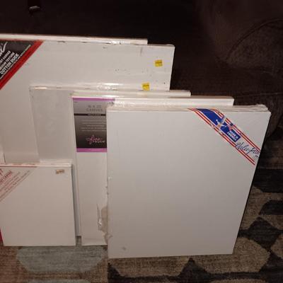 VARIOUS SIZES OF ARTIST CANVAS (1)