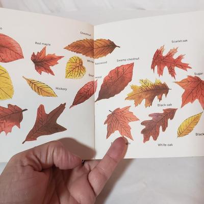Swannanoa Valley & WNC Souvenirs, Collectibles and More (LR-KD)
