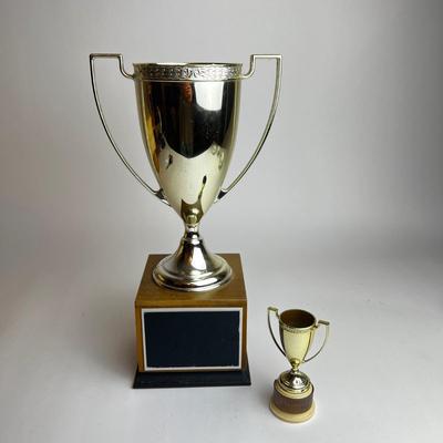 K516 Trophy Lot