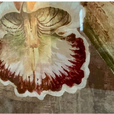 Framed Decorative Orchid Print - Large
