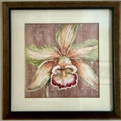 Framed Decorative Orchid Print - Large