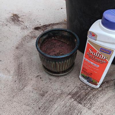 LARGE FLOWERING PLANT, FLOWER POTS AND CHEMICALS