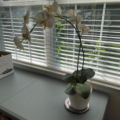 Artificial Orchid Plant and Tray (K)