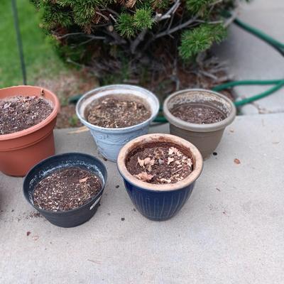 A VARIETY OF FLOWER POTS