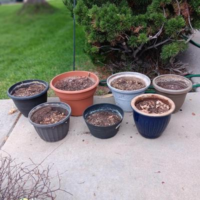 A VARIETY OF FLOWER POTS