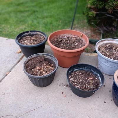 A VARIETY OF FLOWER POTS