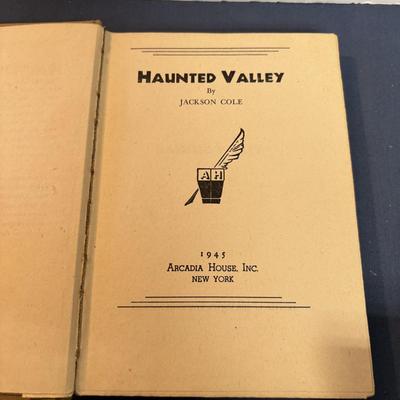 Haunted Valley Book