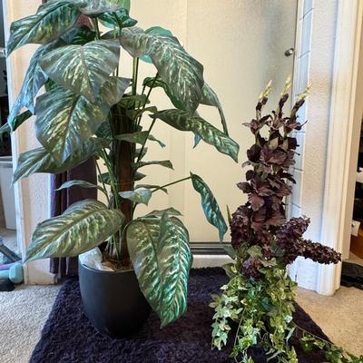 Two artificial dieffenbachia plants.