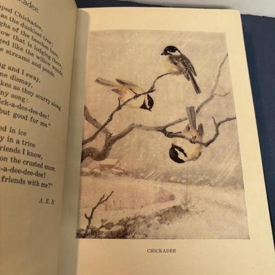 Year of the Birds